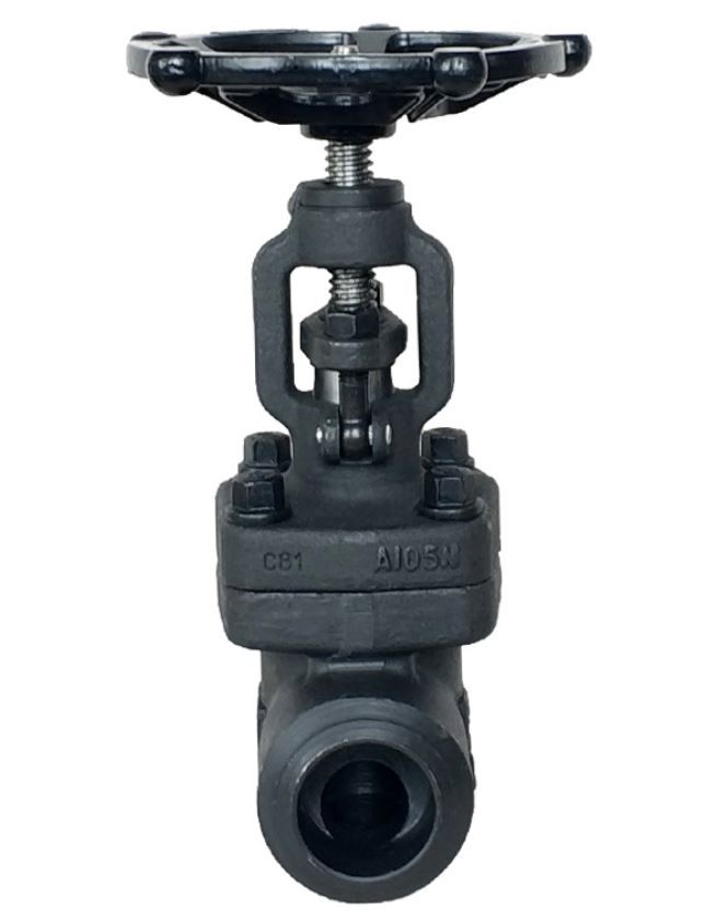 Globe Valve